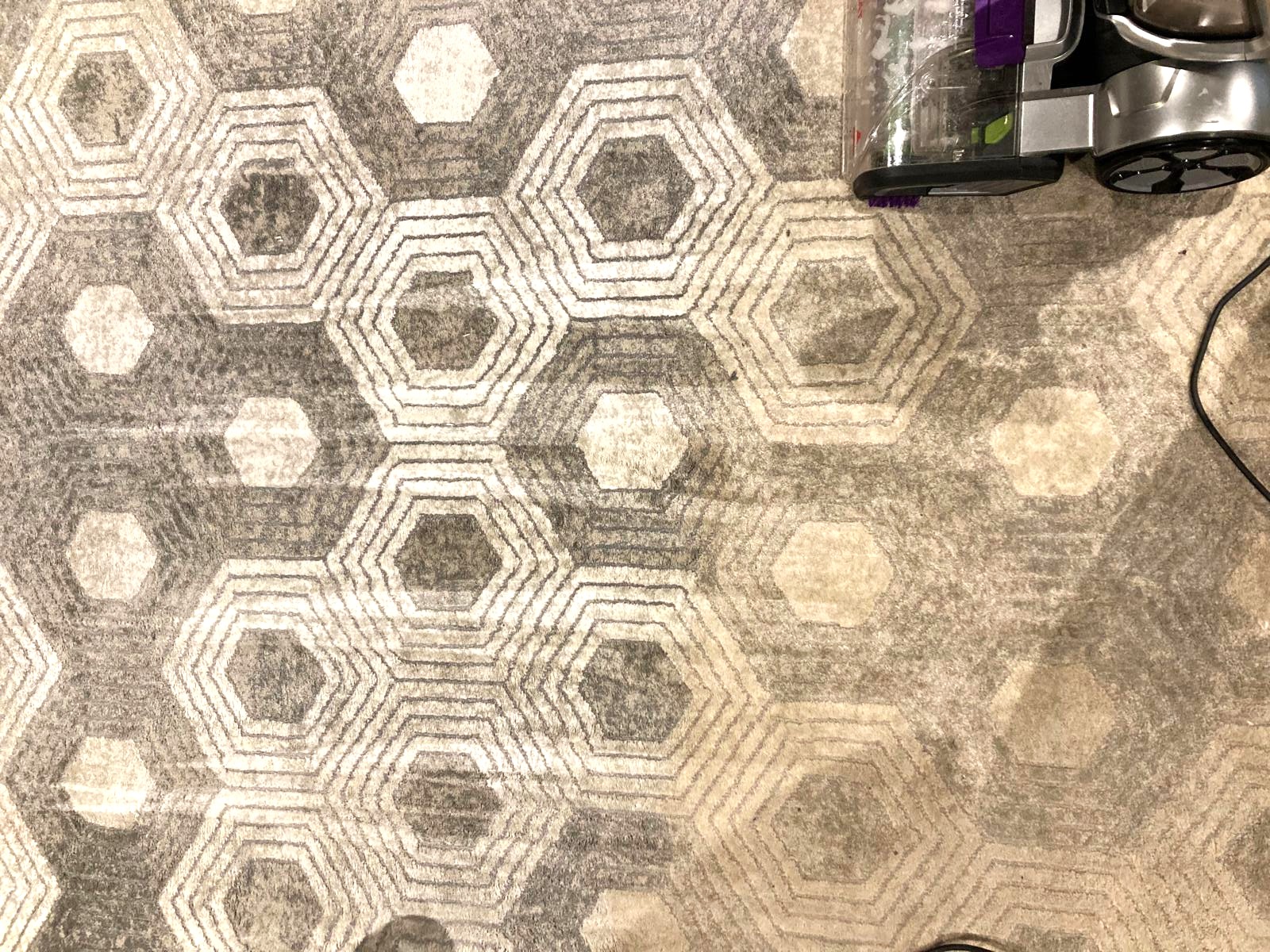 Carpet cleaning rug in progress