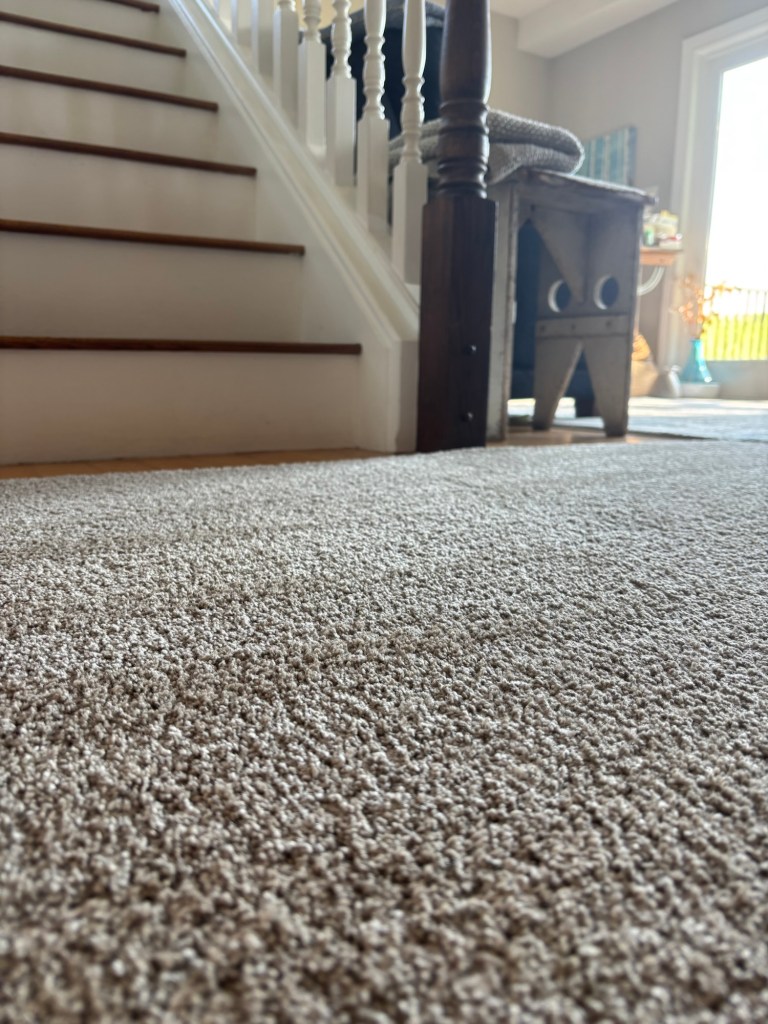 Fluffed carpets after vacuuming and carpet cleaning at the bottom of some stairs with a window in the background