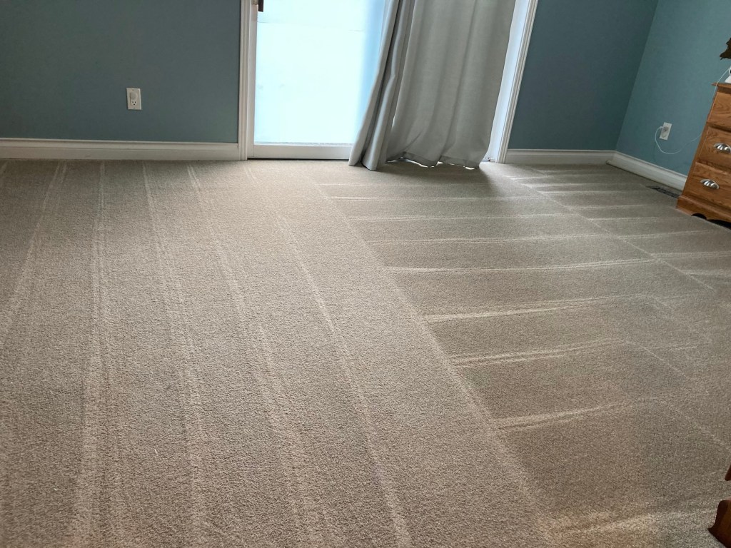 A room with blue walls after a carpet cleaning session