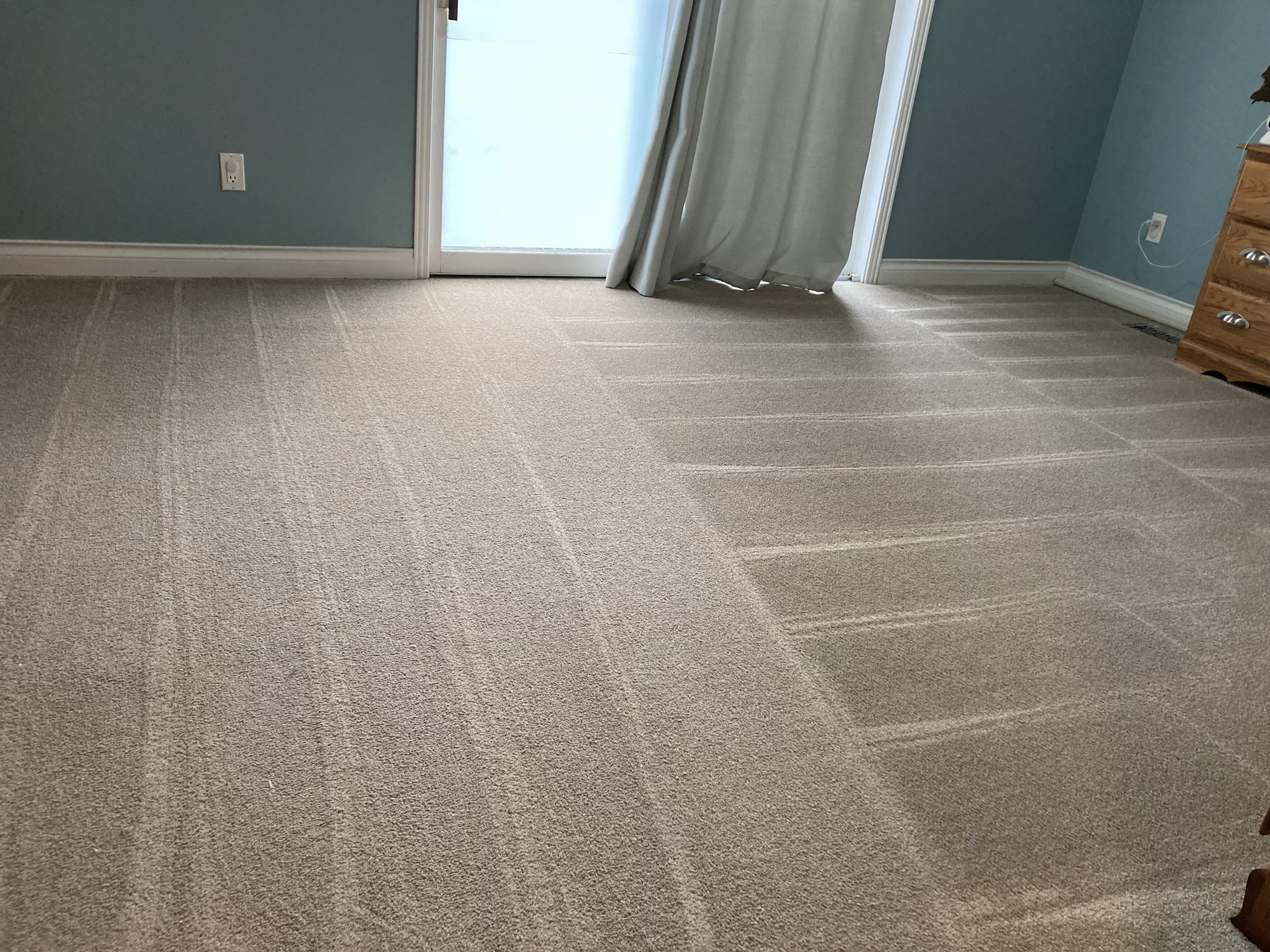 A room with blue walls after a carpet cleaning session